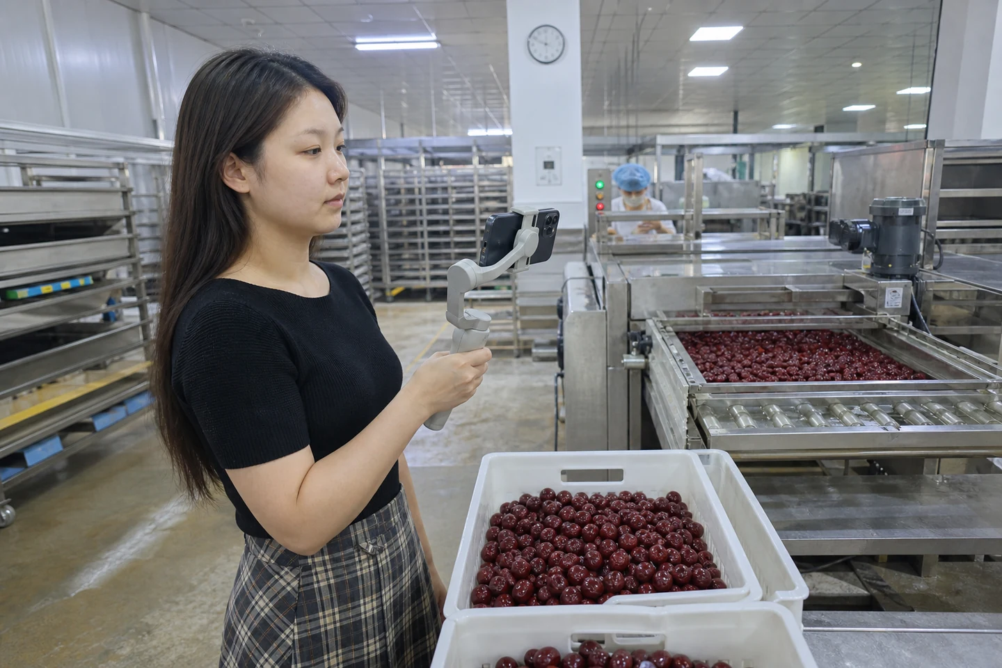 红枣加工现场记录批次检验与质量争议